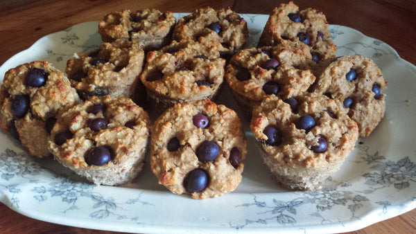 Healthy Low Fat Protein Muffins