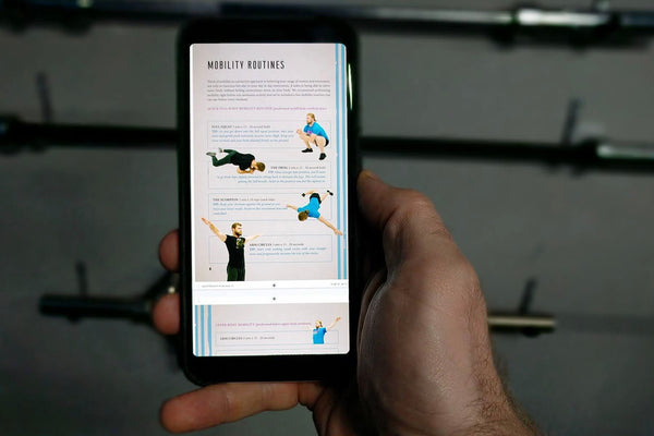 | B.U.F.F. Dudes Bodyweight Book (.PDF VERSION) - Buff Dudes