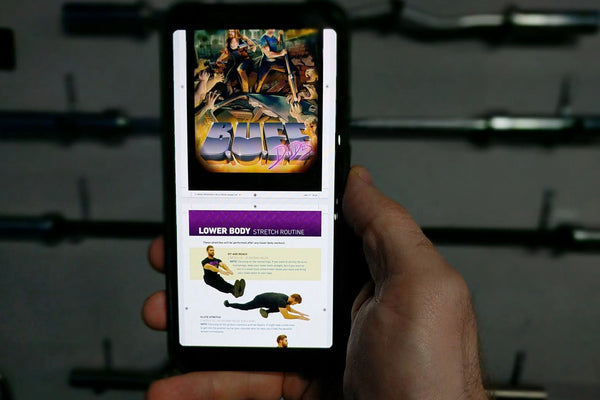 | B.U.F.F. Dudes Bulking Book (.PDF VERSION) - Buff Dudes